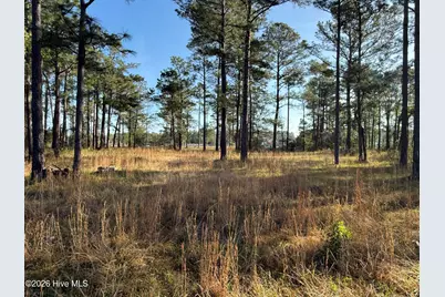 269 Shell Castle Lane, Vandemere, NC 28587 - Photo 22