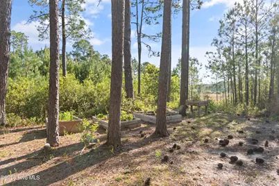 461 Virginia Street, Southport, NC 28461 - Photo 46
