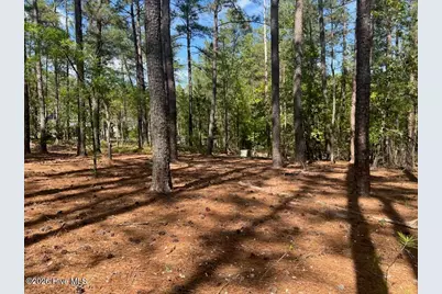 1551 Linden Road, Aberdeen, NC 28315 - Photo 42
