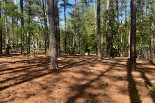 1551 Linden Rd, Aberdeen, NC 28315 - Photo 42
