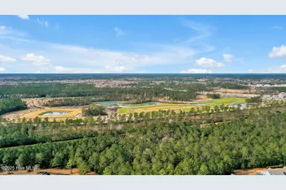 8647 Blue Haw Way #Lot 133, Leland, NC 28451 - Photo 24