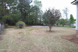 590 Luther Banks Rd, Richlands, NC 28574 - Photo 16