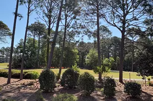 308 Crooked Gulley Cir, Sunset Beach, NC 28468 - Photo 14
