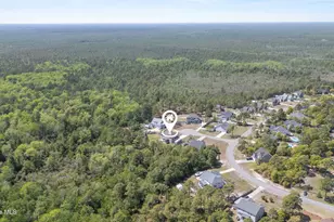 41 Angel Oaks Ct, Hampstead, NC 28443 - Photo 68