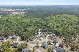 41 Angel Oaks Ct, Hampstead, NC 28443 - Photo 66