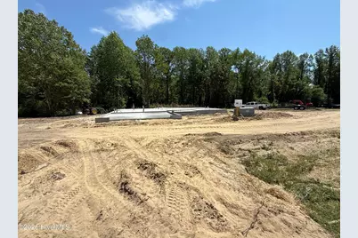 509 Romney Drive, Beulaville, NC 28518 - Photo 6