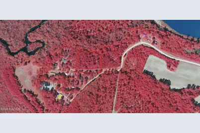340 Willis Landing, Vanceboro, NC 28586 - Photo 6