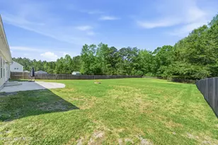 225 Blue Creek Farms Drive, Jacksonville, NC 28540 - Photo 46