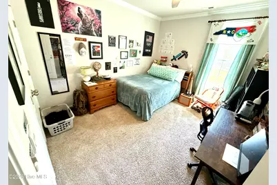 5010 Spring Green Pass, New Bern, NC 28562 - Photo 32