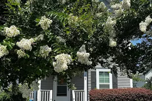 1419 King St, Wilmington, NC 28401 - Photo 2