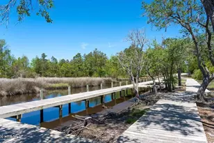 417 Harlequin Ct, Sneads Ferry, NC 28460 - Photo 60