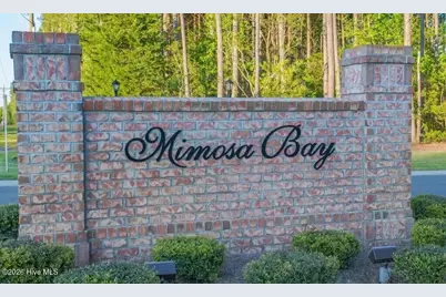 417 Harlequin Court, Sneads Ferry, NC 28460 - Photo 48