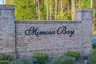 417 Harlequin Ct, Sneads Ferry, NC 28460 - Photo 48