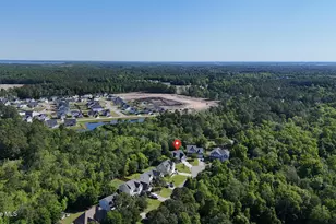 417 Harlequin Ct, Sneads Ferry, NC 28460 - Photo 46