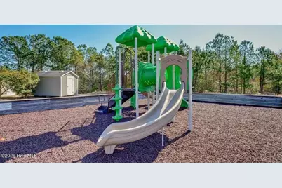 417 Harlequin Court, Sneads Ferry, NC 28460 - Photo 54