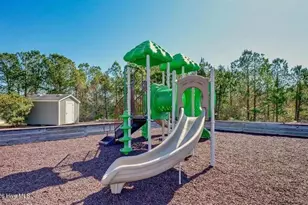 417 Harlequin Ct, Sneads Ferry, NC 28460 - Photo 54