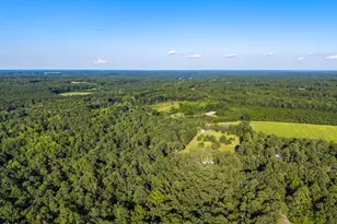 380 Michael Rd, Whispering Pines, NC 28327 - Photo 56
