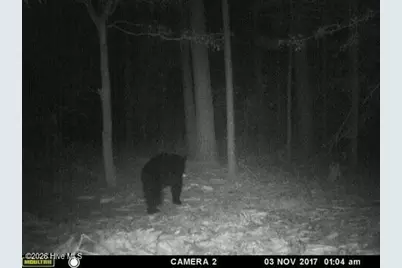 Near 523 Culbreth Smith Road, Elizabethtown, NC 28337 - Photo 20