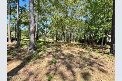 372 Laurel Valley Drive, Shallotte, NC 28470 - Photo 2