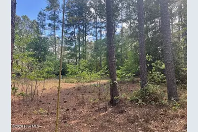 212 Skyline Manor Road, Southern Pines, NC 28387 - Photo 2