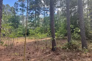 212 Skyline Manor Rd, Southern Pines, NC 28387 - Photo 2