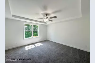 710 Springtooth Drive, Zebulon, NC 27597 - Photo 6
