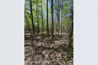 7818 McGregor Road, Nashville, NC 27856 - Photo 56