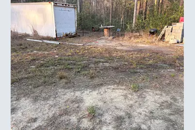 3.98 Acres Pelham Road, Willard, NC 28478 - Photo 6
