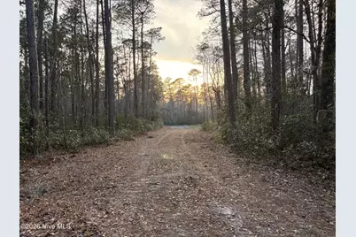 3.98 Acres Pelham Road, Willard, NC 28478 - Photo 2