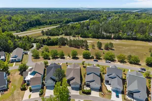 323 Cornubia Dr, Castle Hayne, NC 28429 - Photo 42