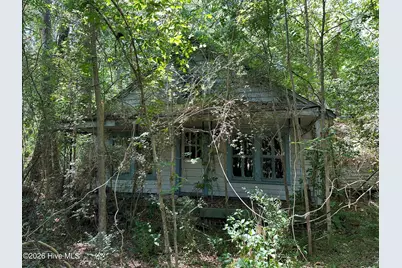 2717 Old US Highway 64, Jamesville, NC 27846 - Photo 2