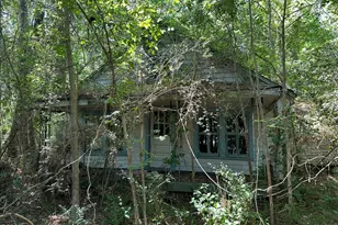 2717 Old US Hwy 64, Jamesville, NC 27846 - Photo 2
