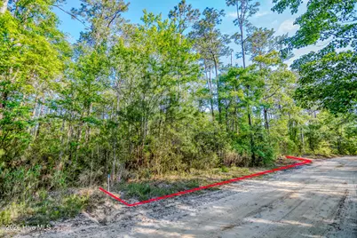 135 Boxwood Street SE, Bolivia, NC 28422 - Photo 12