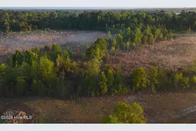 0 Durwood Evans Road, Beulaville, NC 28518 - Photo 32