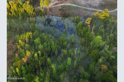 0 Durwood Evans Road, Beulaville, NC 28518 - Photo 8
