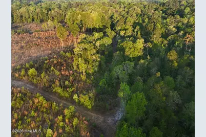 0 Durwood Evans Road, Beulaville, NC 28518 - Photo 38