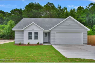 111 William Gurganus Road, Maple Hill, NC 28454 - Photo 1