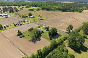 4803 Free Union Church Rd, Pinetown, NC 27865 - Photo 48