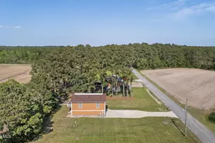 425 Griggs Rd, Vandemere, NC 28587 - Photo 46