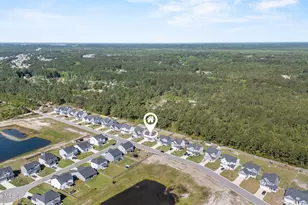 566 Transom Wy, Sneads Ferry, NC 28460 - Photo 10