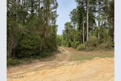 408 Guy Sanderson Road, Albertson, NC 28508 - Photo 20