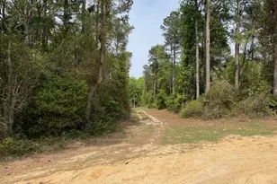 408 Guy Sanderson Rd, Albertson, NC 28508 - Photo 20