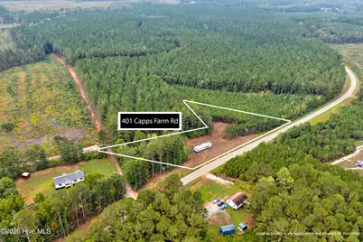401 Capps Farm Road, Hollister, NC 27844 - Photo 2