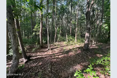 0 Nc 30, Stokes, NC 27884 - Photo 10