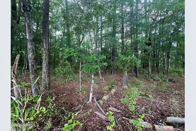 4599 Nc-30, Stokes, NC 27884 - Photo 10