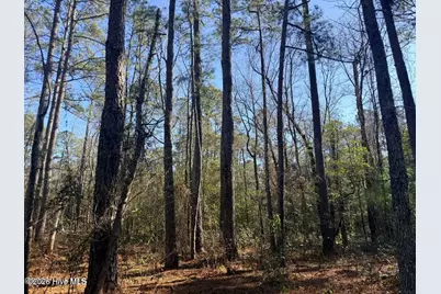 Lot 6 Peach Court, Burgaw, NC 28425 - Photo 4