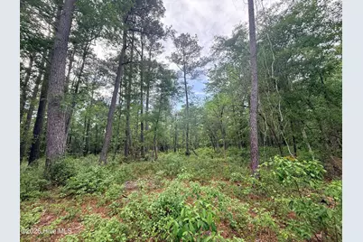 Lot 6 Peach Court, Burgaw, NC 28425 - Photo 8