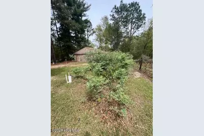 1801 McDonald Avenue, Hamlet, NC 28345 - Photo 48