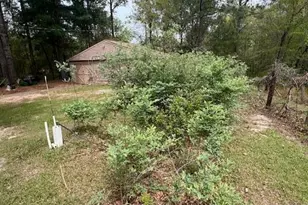 1801 McDonald Ave, Hamlet, NC 28345 - Photo 48