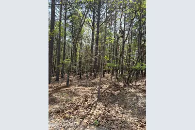 4 Brassie Lane, Foxfire, NC 27281 - Photo 1